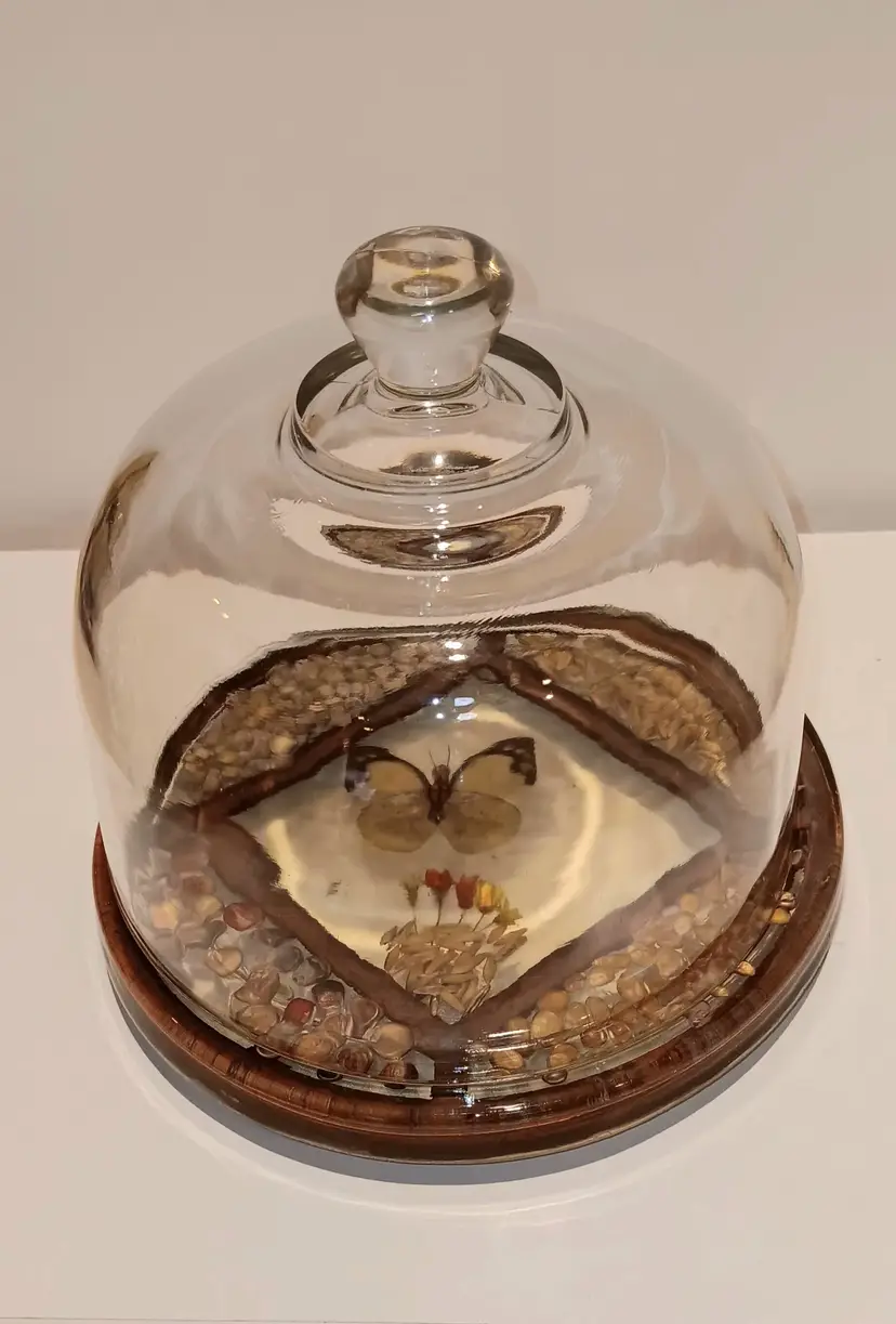 Vintage Lucite Pressed Butterfly and Seed Domed Cheese Server