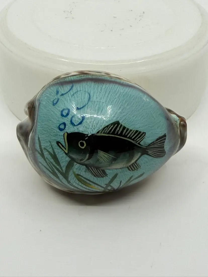Hand Painted Cowrie-Tiger Shell Fish Aquatic Scene