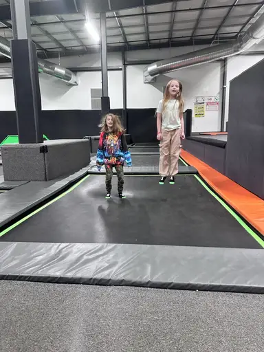 Some Of My Favorites Swarovski, Fenton, Some Critters 