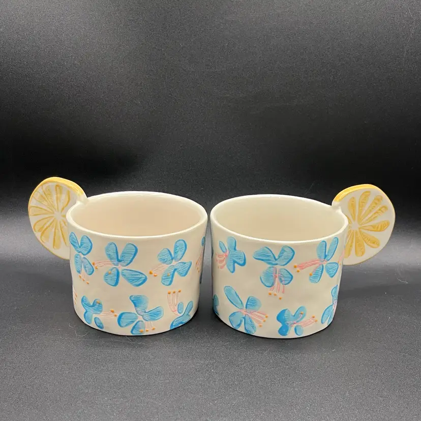 #10 Pair Of World Market Ceramic Hand Painted Lemon Handled Floral Mugs 3βπ