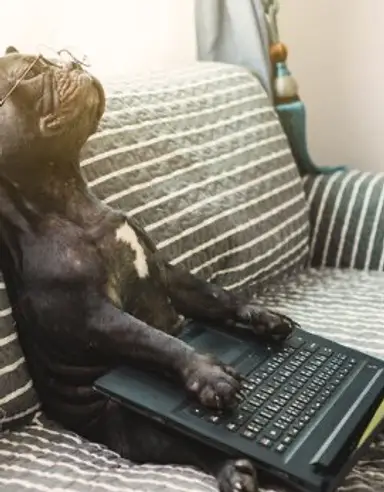 Wake Up! It’s Time For The Show!