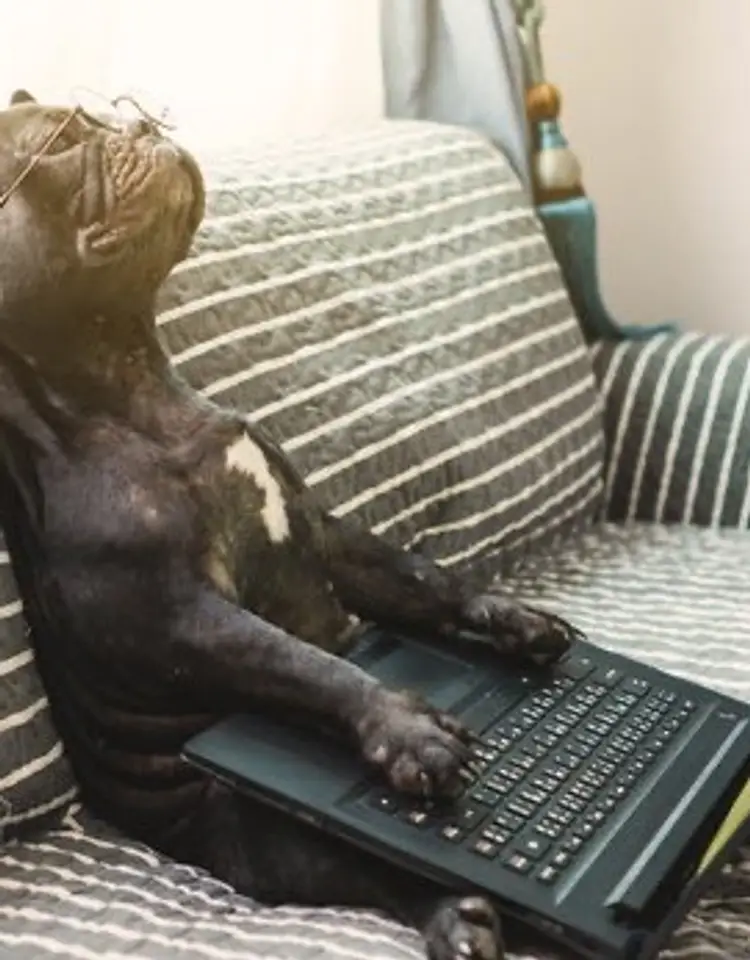 Wake Up! It’s Time For The Show!