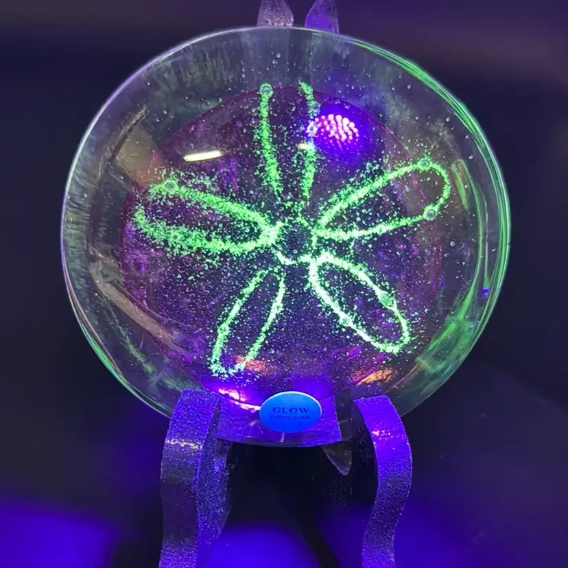 Green Glow Pink   Sand Dollar Paper Weight