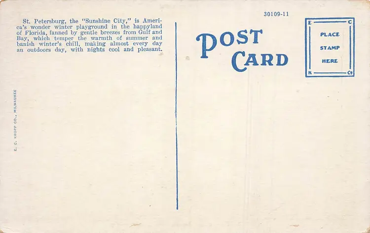 ST PETERSBURG FLORIDA~THE VINEY PARK HOTEL~ANTIQUE VINTAGE POSTCARD