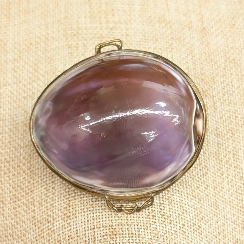 Vintage Natural Purple Cowrie Sea Shell Hinged Trinket Box Coin Purse with Clasp