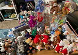 (1) Mystery Beanie Baby