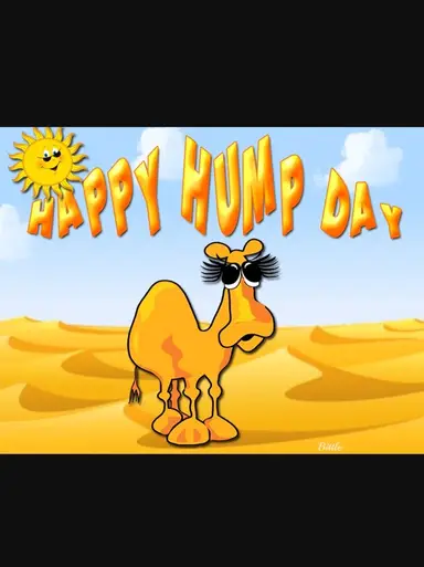 Vintage Variety On Hump Day!!