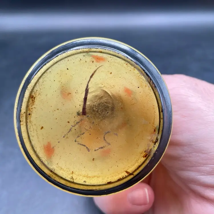 Antique Perfume Bottle Atomizer Marked Czechoslovakia