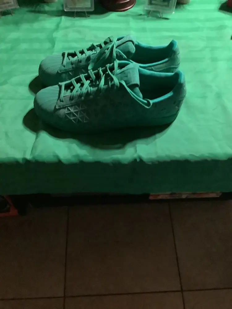 Adidas Shoes (green sway)