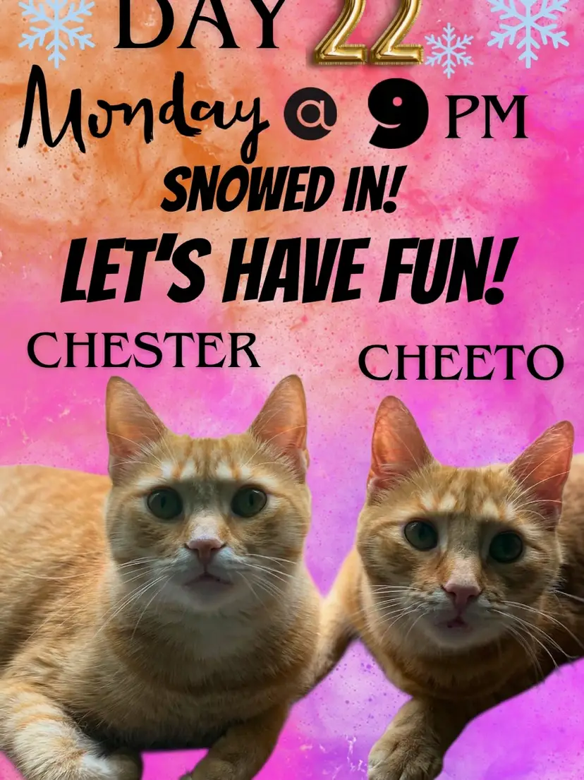 Livestream thumbnail