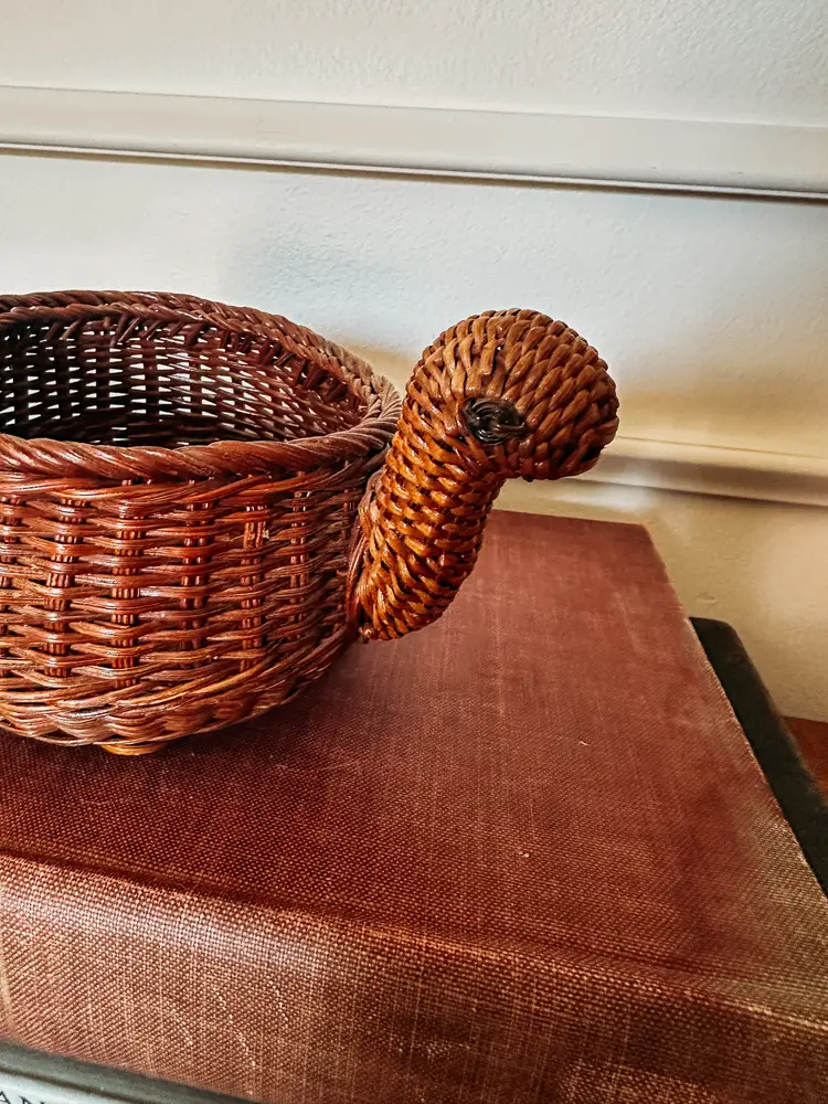 Sweet vintage wicker turtle basket