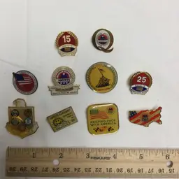Vintage Amvets Lapel Pins Lot Of 10