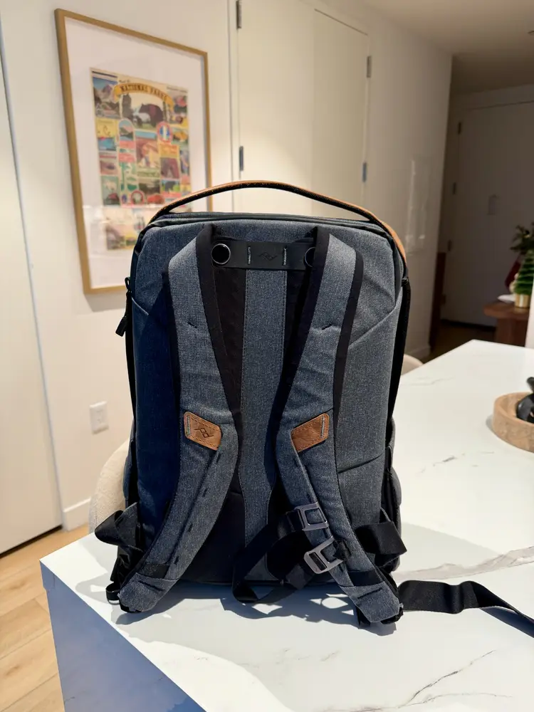 Peak Design Everyday Backpack 20L Charcoal