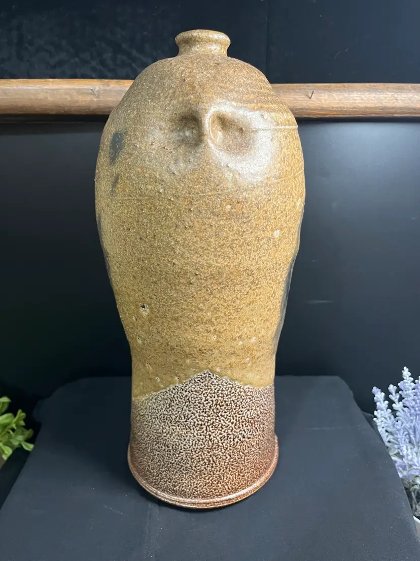 Signed Douglas L Johnson Salt Glazed Vase-Has What Appears to be "Eyes" on Opposite Sides of Pot