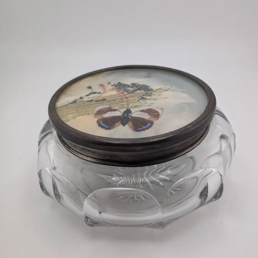 Victorian powder box with preserved moth and hair