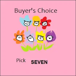 11 - Buyer's Choice Pick 7