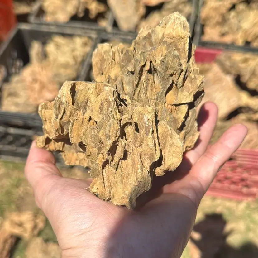 Dragonstone (various sizes)