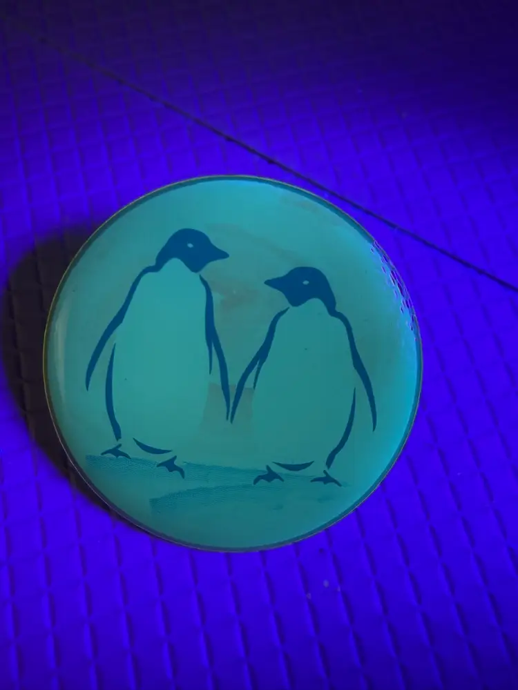 Pin Of Penguins  UV Reaction