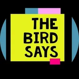 thebirdsays