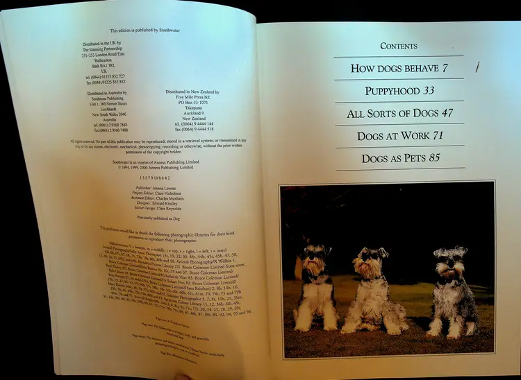 The Faithful Dog Softcover Book