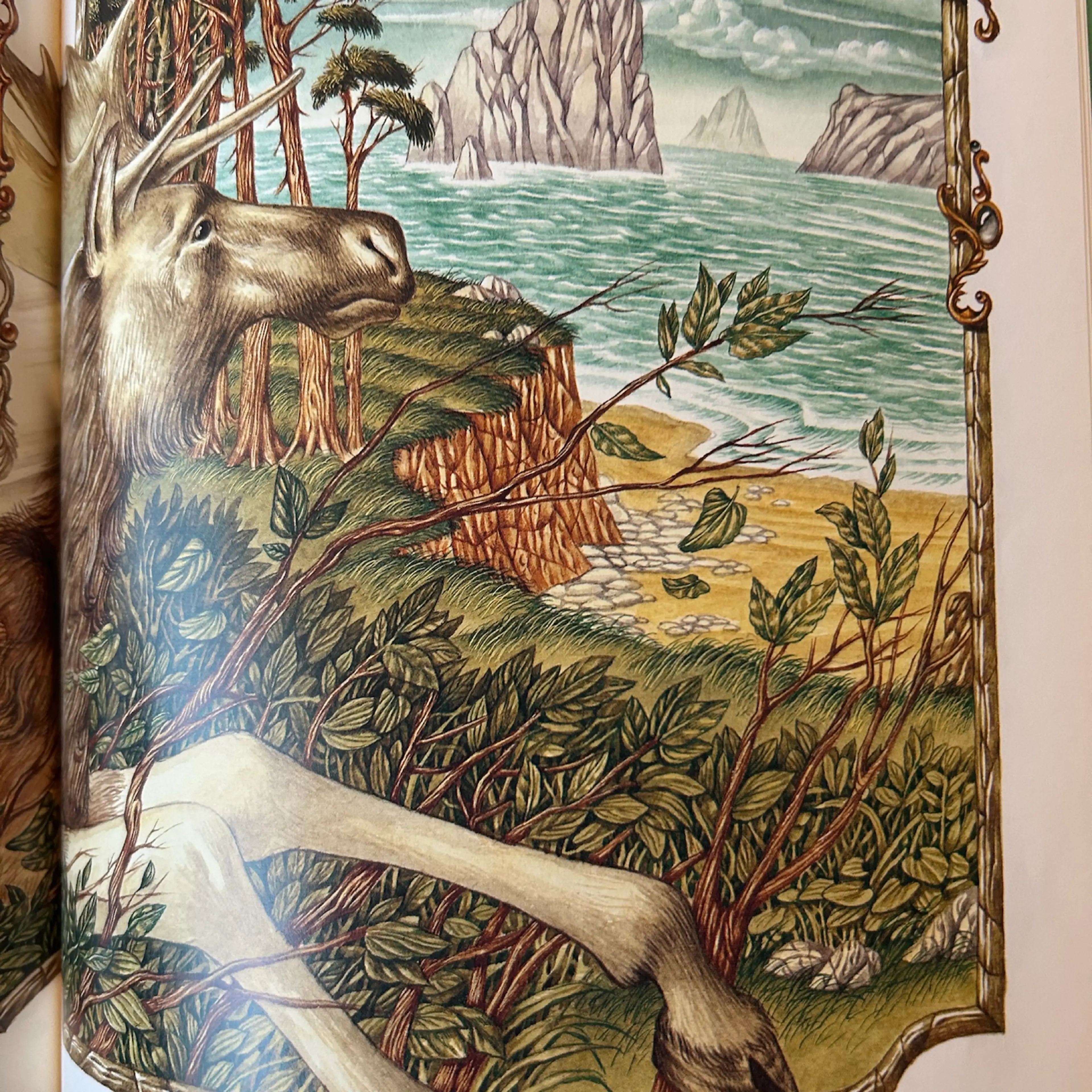 Image 4 of 4