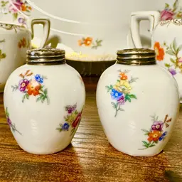 Antique Johann Haviland Bavaria Porcelain Salt & Pepper Shakers