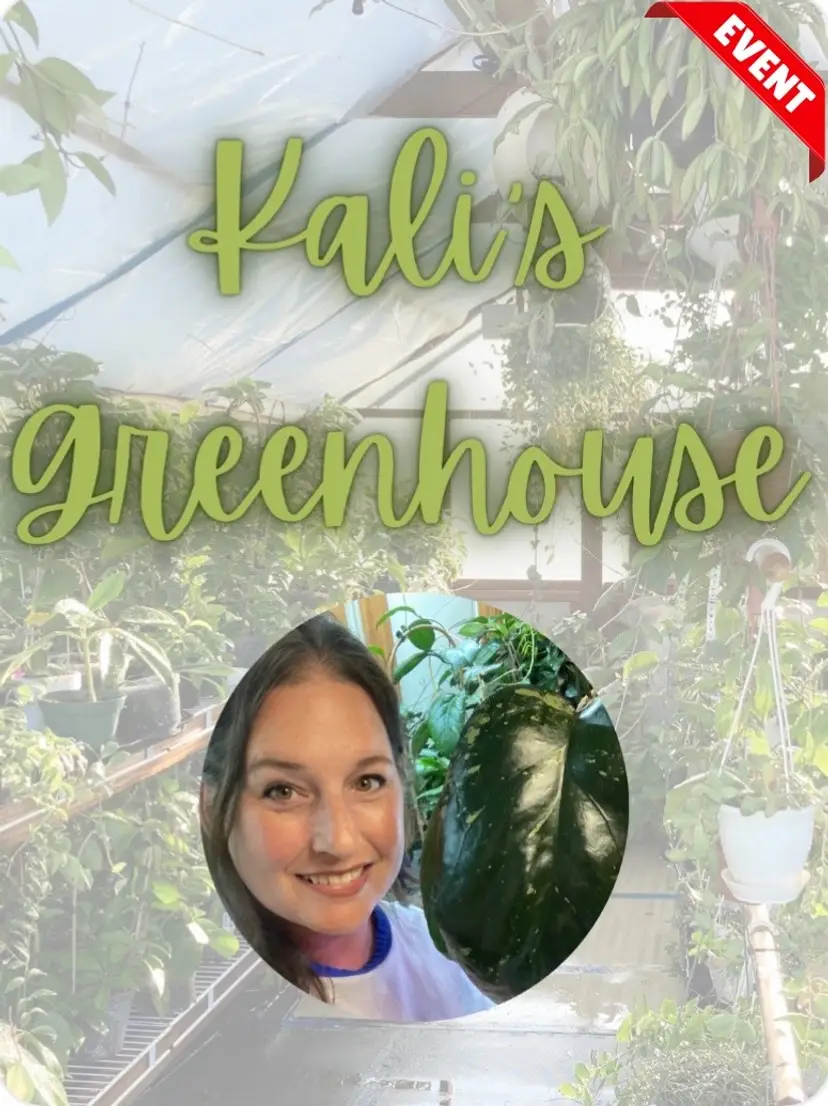 Livestream thumbnail