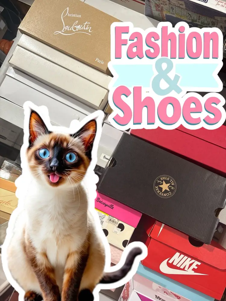 Shoes, Clothes & Accessories - Luxury, Midrange & Athletic