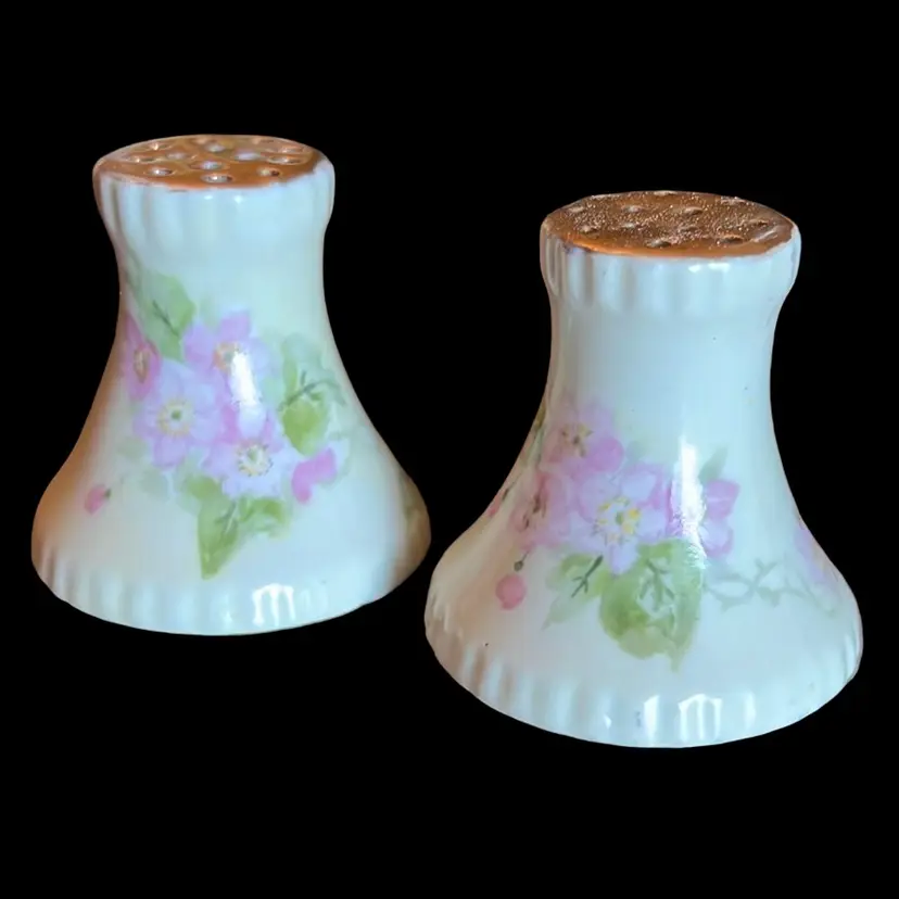 Vintage Porcelain Floral Salt & Pepper Shakers
