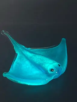 Stingray UV Reactive And Glow In The Dark Paperweight By Dynasty Gallery!  1” Tall 5” Wide 5 1/2” Long 😎😎😎 No Issues!