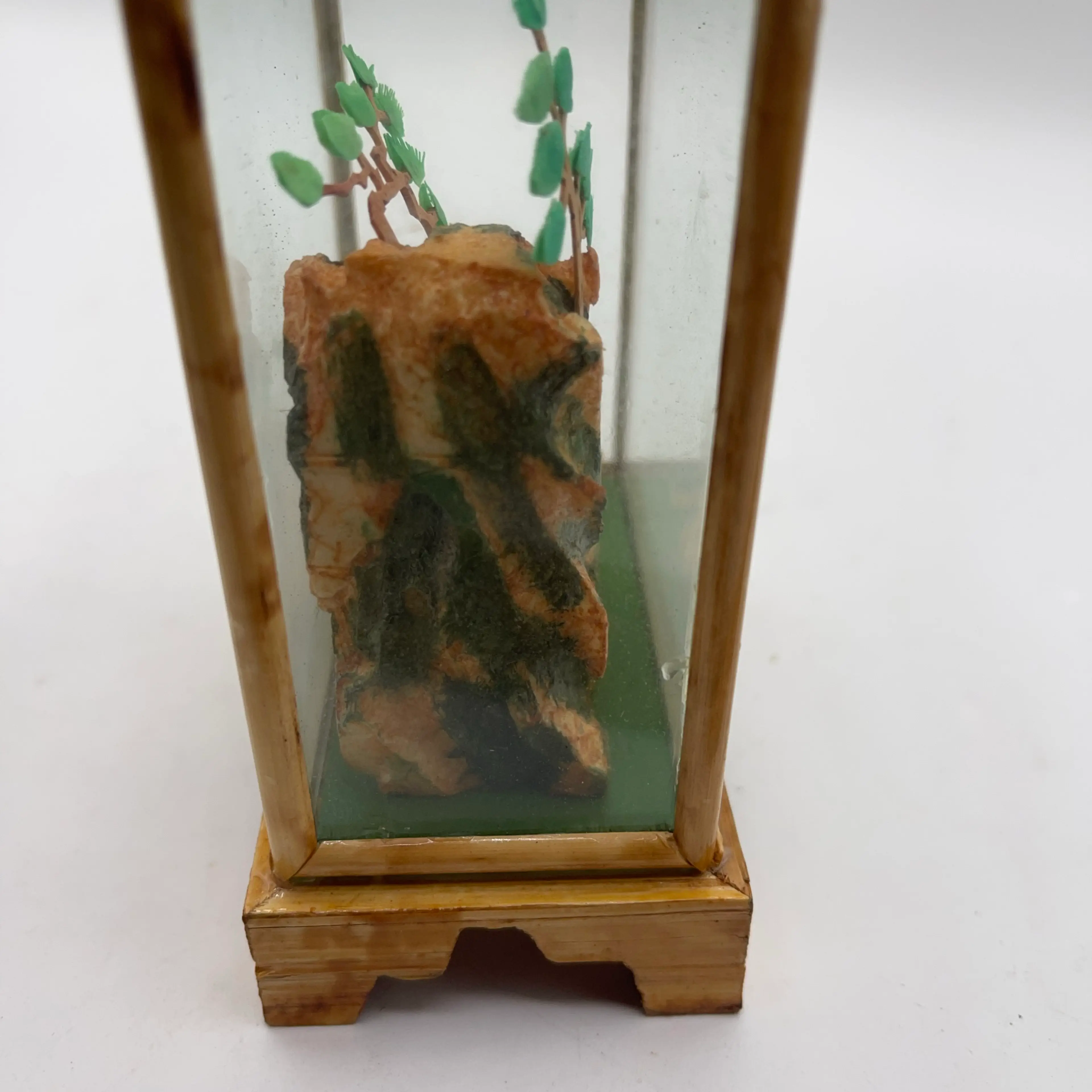 Image 3 of 5