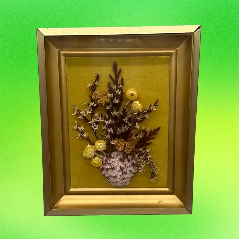Dried Flowers In Frame With Shell
