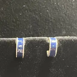 Earrings As Pictured