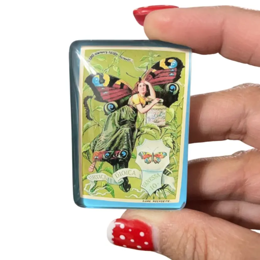 Amazing Glass Magnet Butterfly Woman Urtica Dioica Vanessa