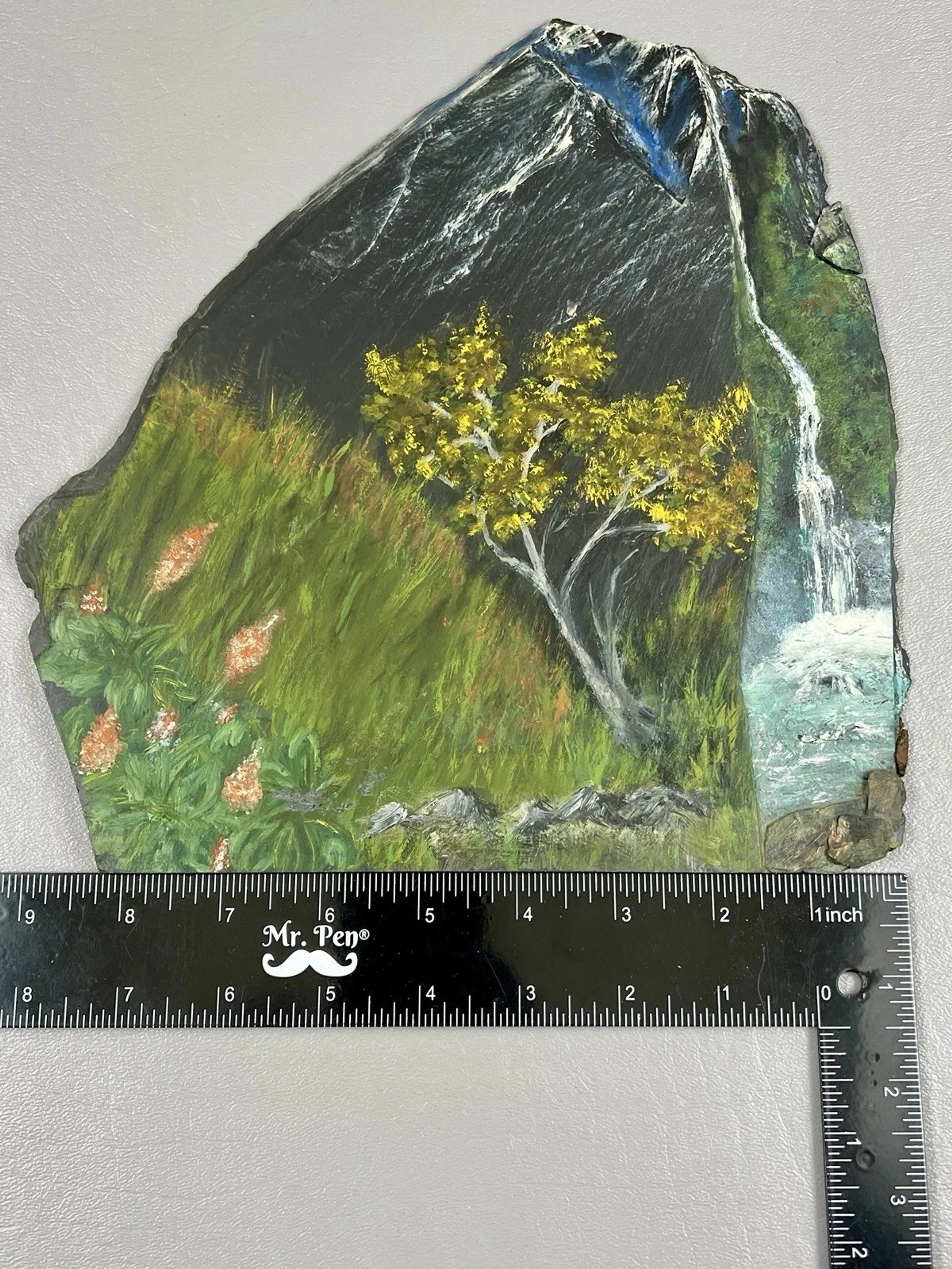 Image 5 of 7