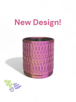 The Bobber Desert Sunset