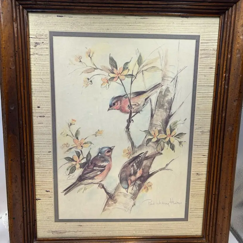 VTG Paul Whitney Hunter Signed Print Art Birds in a Tree Nature Framed Matted No Glass