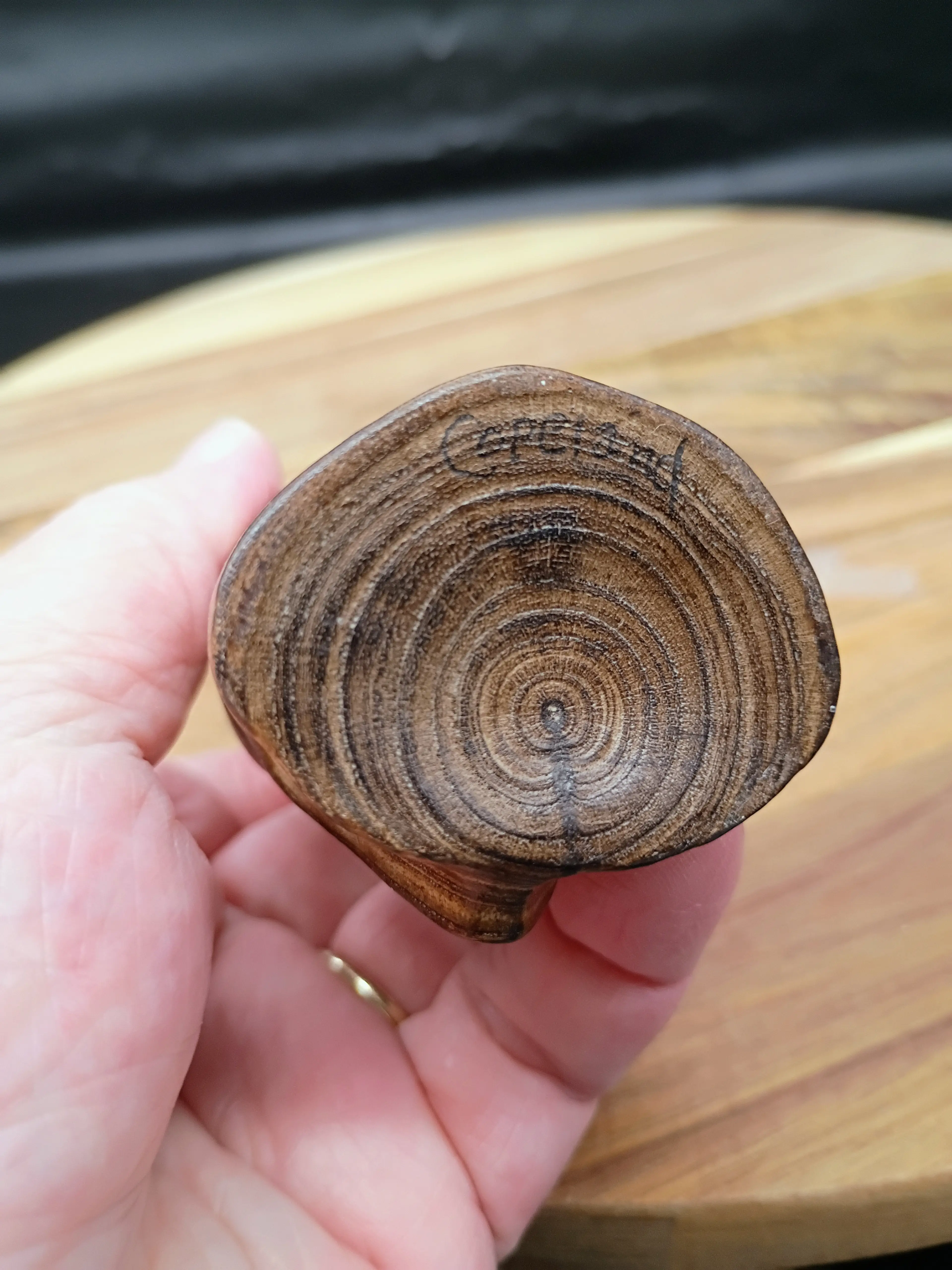 Image 5 of 5
