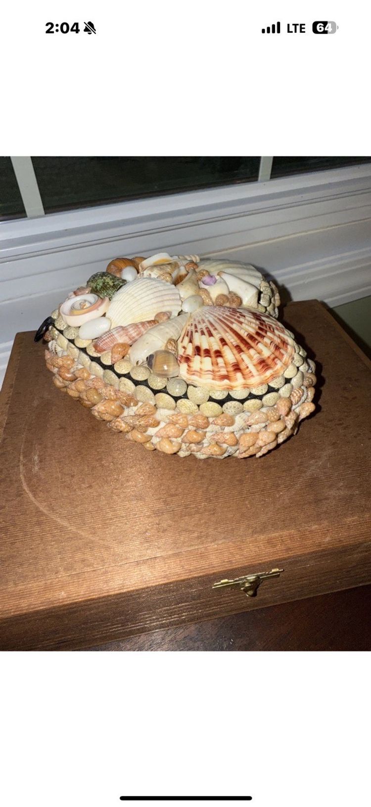 Heart shaped seashell trinket/jewelry dish: beach/cottage core/nautical