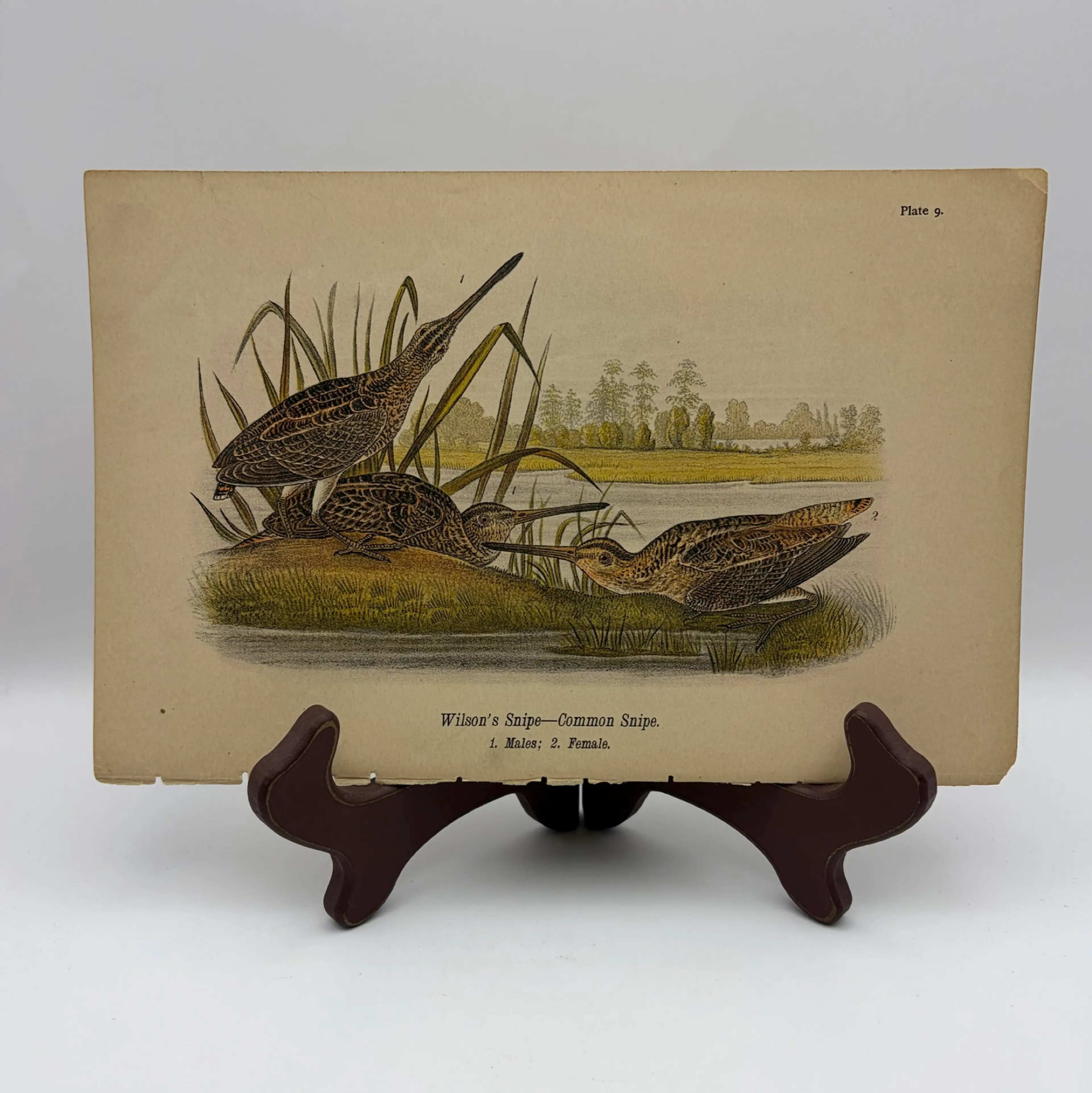 Image 1 of 9
