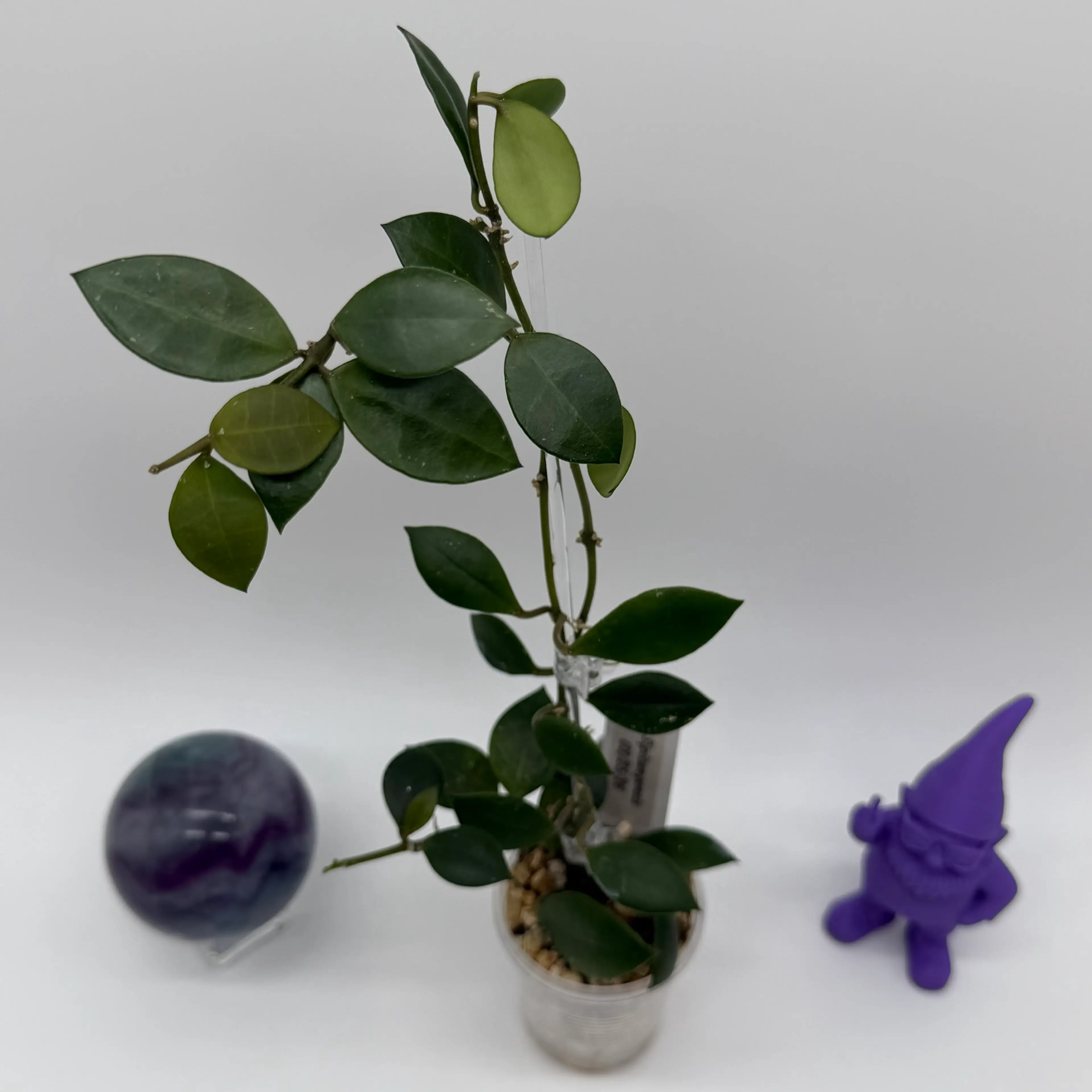 Image 2 of 2