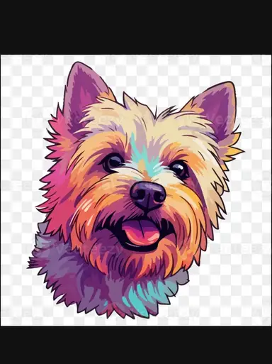 New To You Live Auction & Shop My Shelves