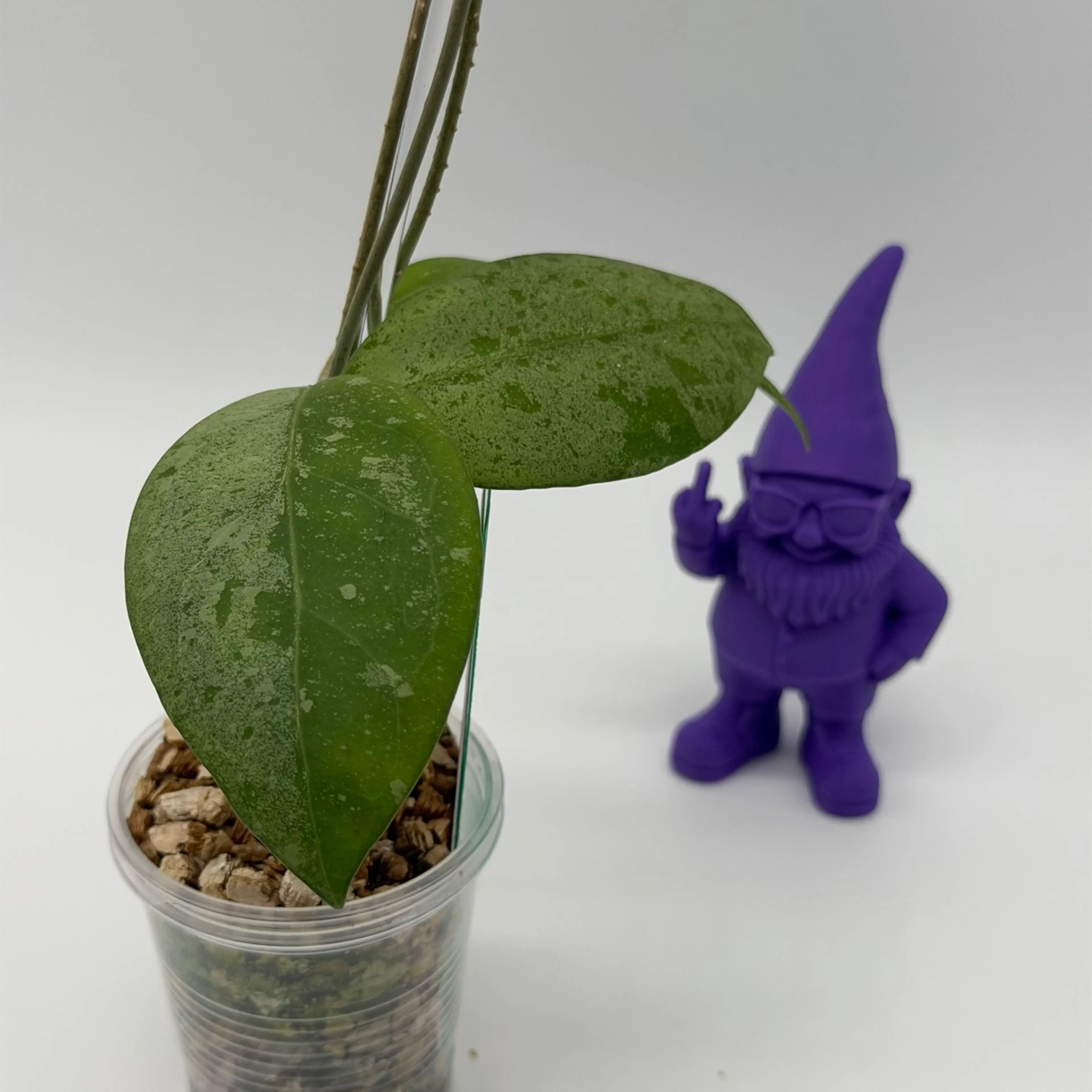 Image 4 of 4