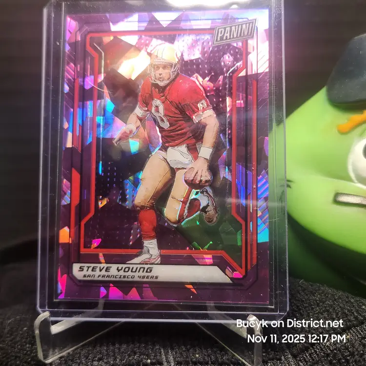 2019 Panini Nationals VIP Purple - Steve Young San Francisco 49ers 75/99