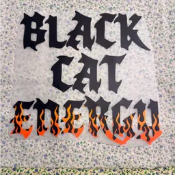 Black Cat Energy 🐈‍⬛