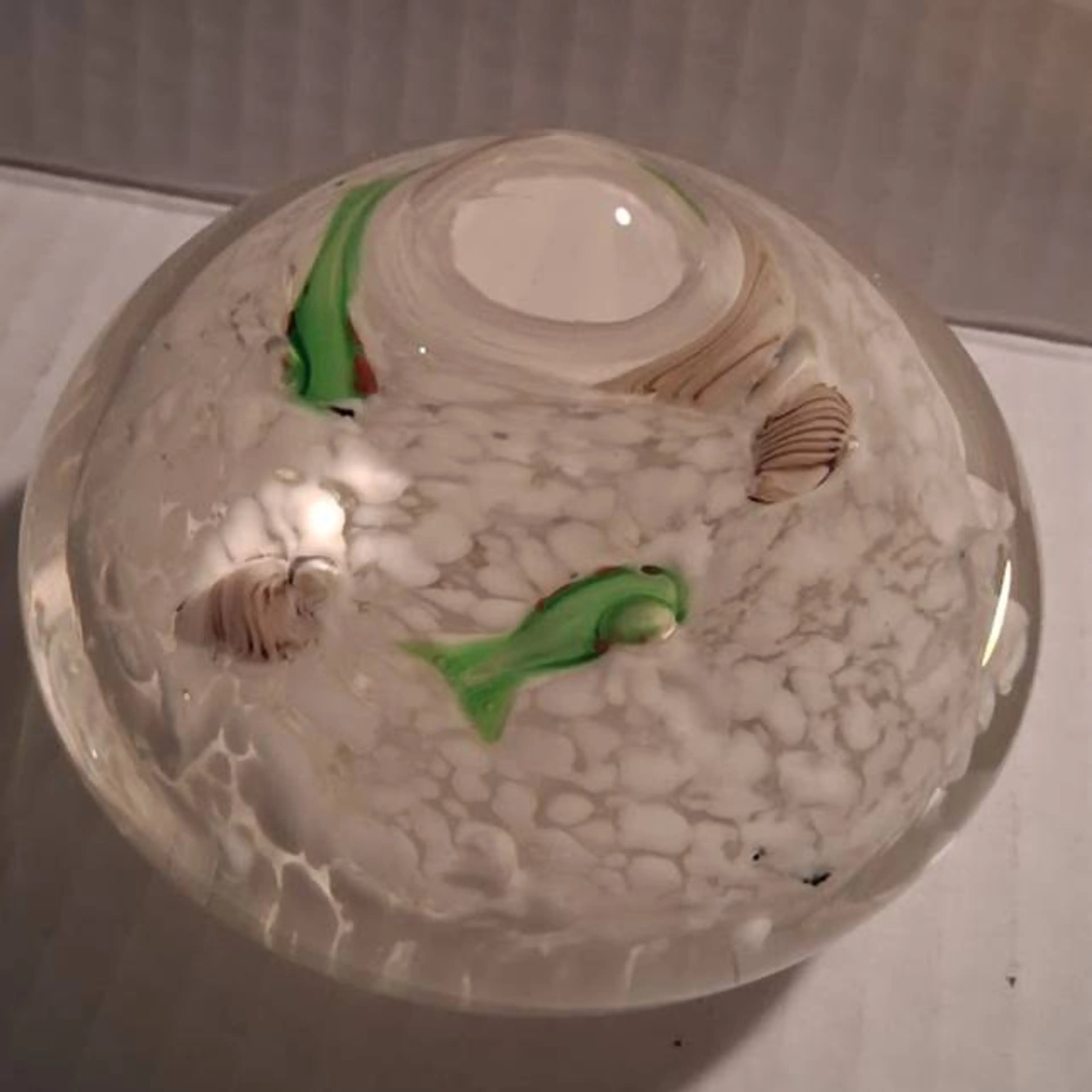 Image 3 of 8