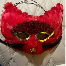 Mardi Gras Red Feather Mask New Orleans Fat Tuesday Party