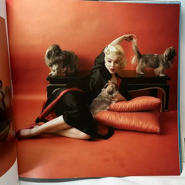 The Essential Marilyn Monroe Milton H Greene 50 Sessions Photo Book Hardcover