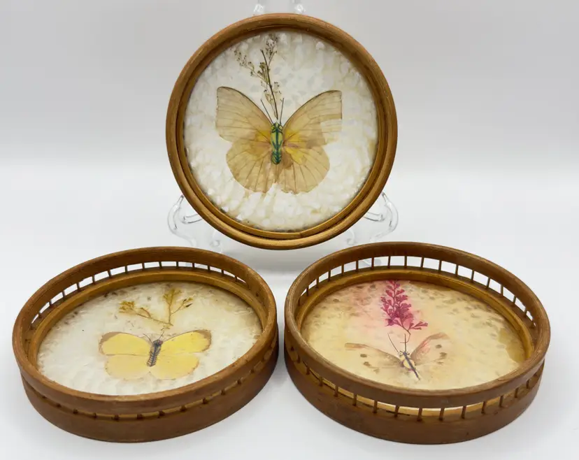 Vintage Butterfly Specimen Barware Coasters, Set of 3, Natural Wood Bamboo Rattan Wicker Frame, Unbranded