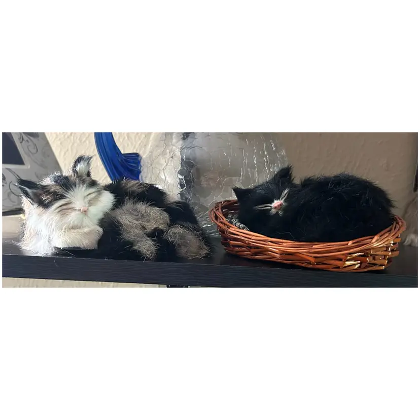 Pair of Sleeping Realistic Stuffed Kittens